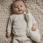 Peluche bruit blanc oie