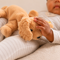 Peluche Chien Floppy Lumpi